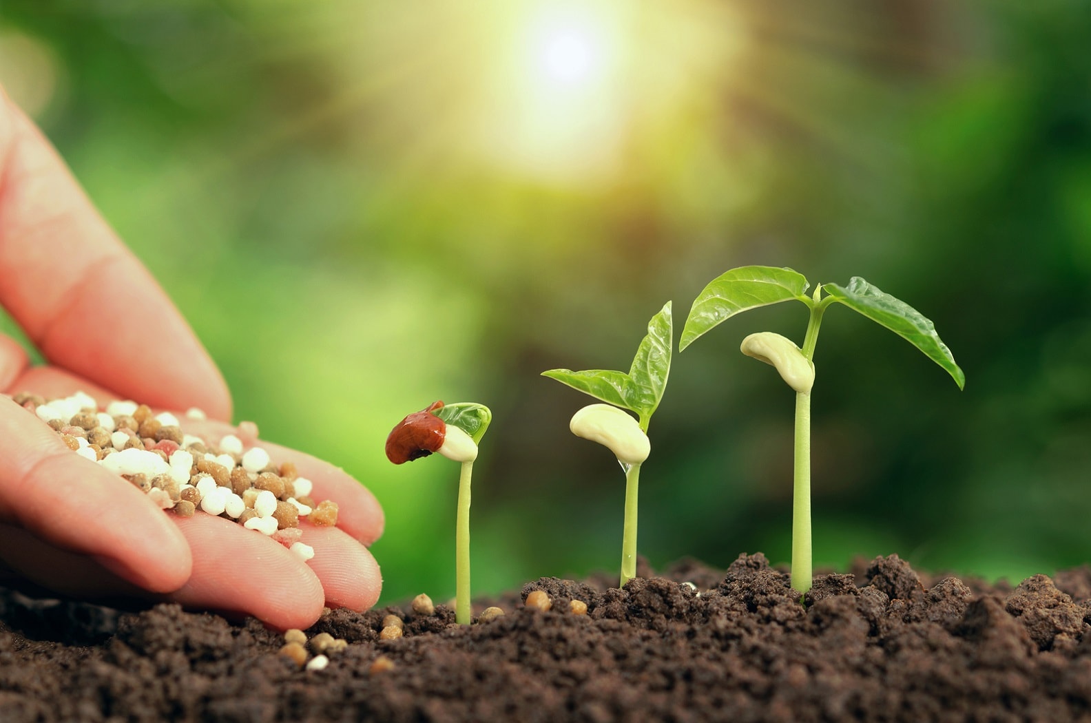 ASSURANCE TESTING & ANALYTICAL SERVICES Soil testings in India