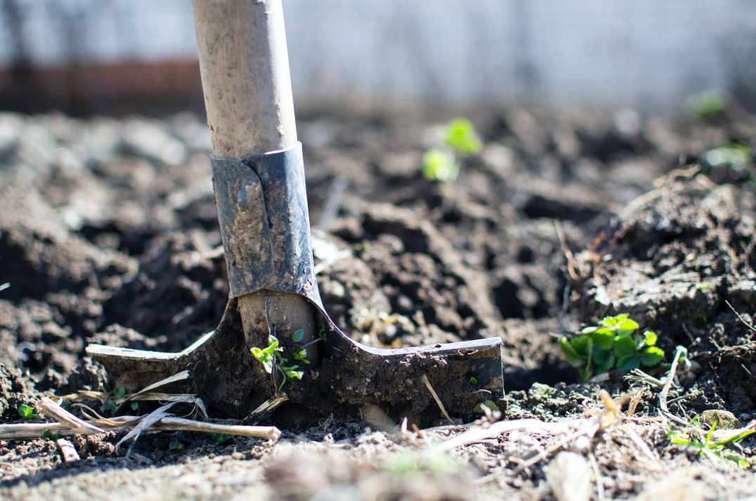 ASSURANCE TESTING & ANALYTICAL SERVICES service fertilizer