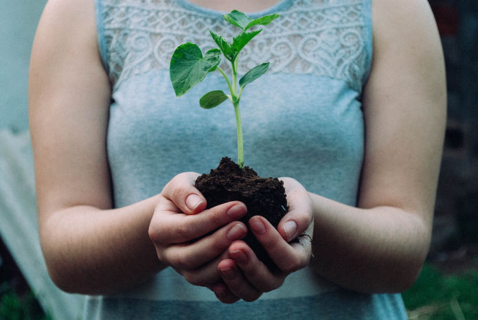 ASSURANCE TESTING & ANALYTICAL SERVICES fertilizers analysis