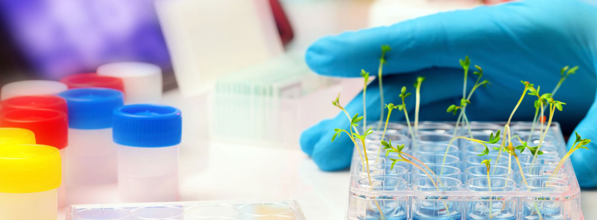 Assurance Testing & Analytical Services fertilizer lab setup