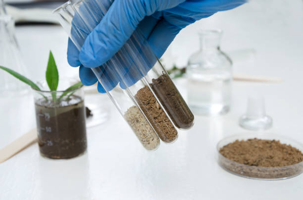 Assurance Testing & Analytical Services Soil lab